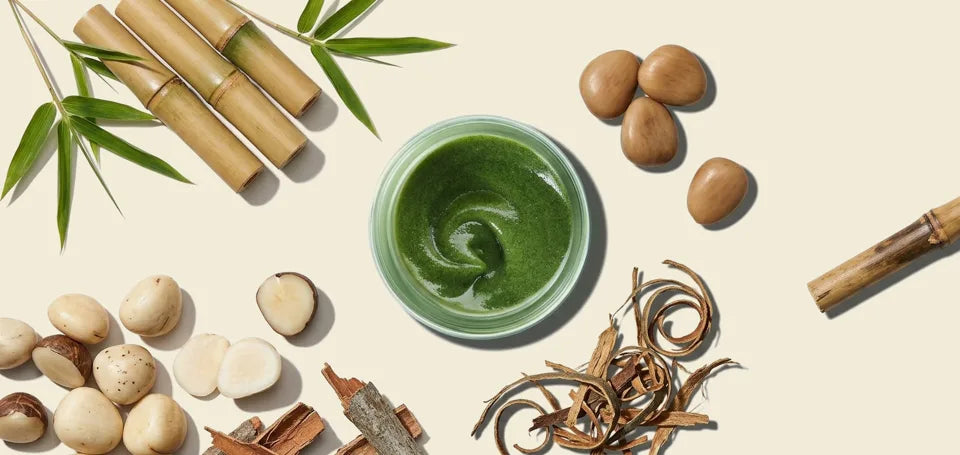 Bambu + Willow Polishing Mask in an open jar with bamboo stalks, tagua seeds, and willow bark