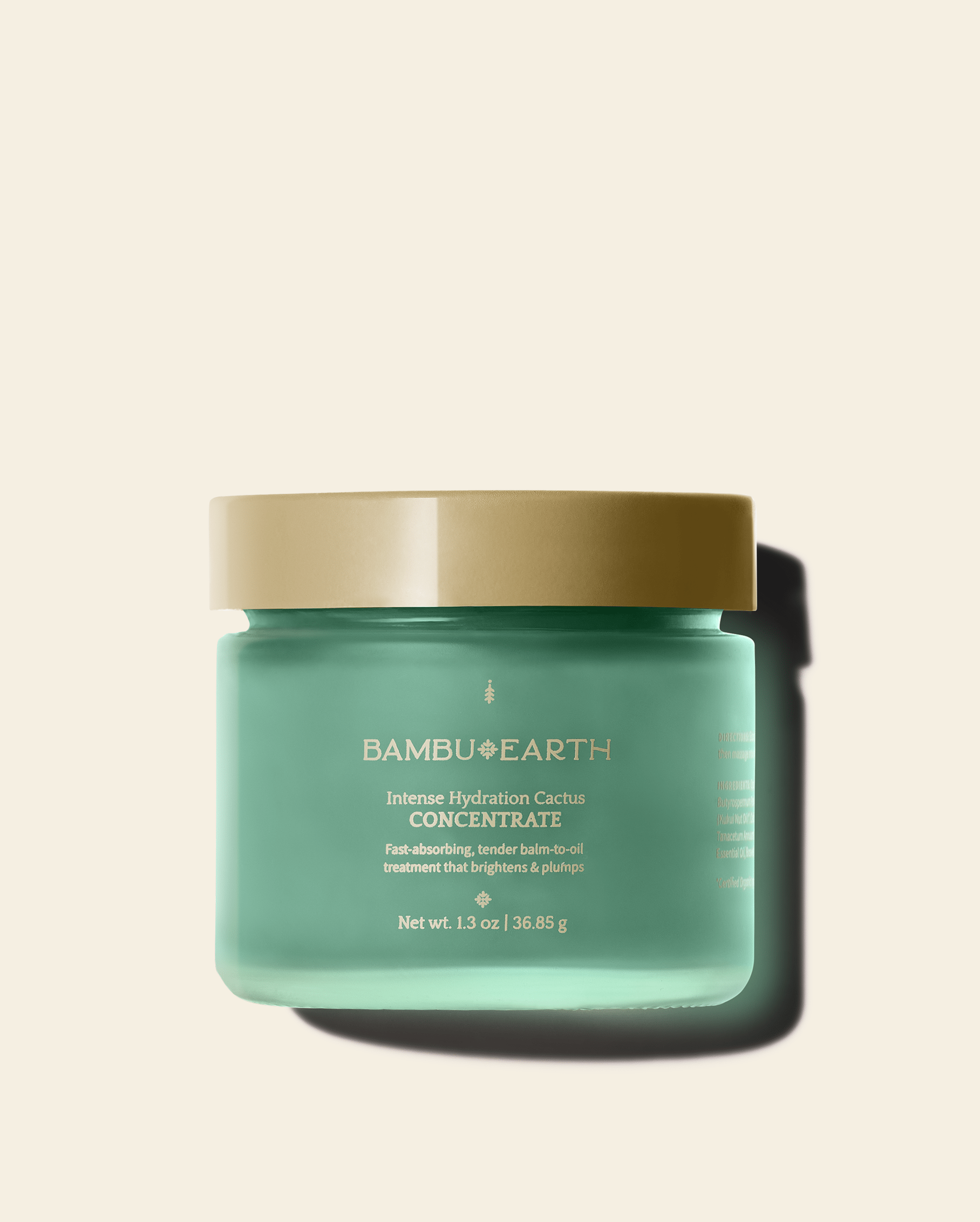 Intense Hydration CACTUS MOISTURIZER (Rebrand)