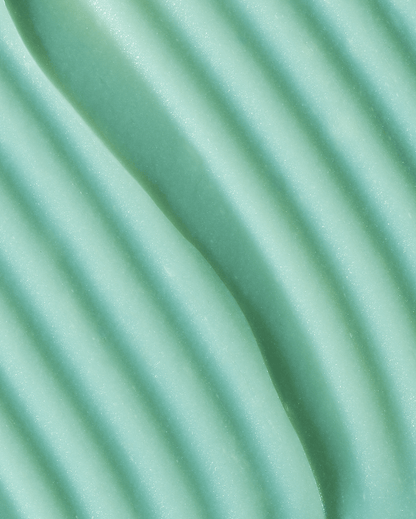 Intense Hydration CACTUS MOISTURIZER (Rebrand)