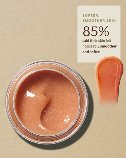 Multi-Mask Holiday Exclusive