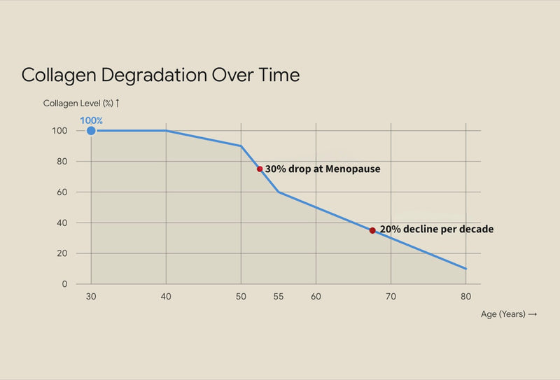 Chart: collagen level falls gradually from age 40, drops about 30% at menopause, then declines roughly 20% per decade to age 80.